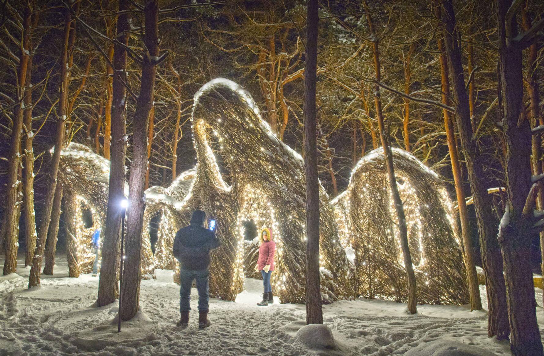 Wild Lights: An enchanted experience